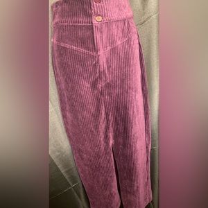 Free People NWT/ XS/ Plum Skirt